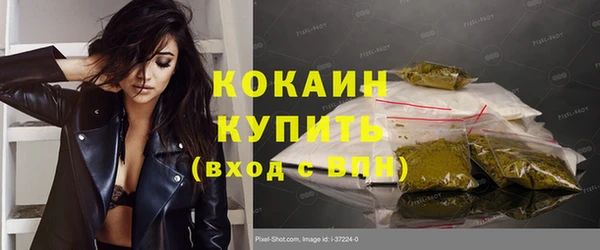 стаф Осташков