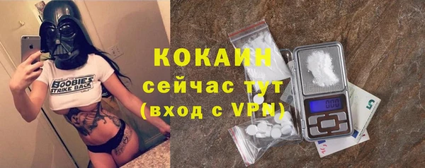 стаф Осташков