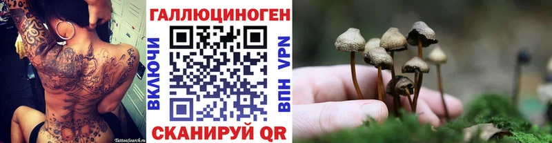 Купить закладки  Юрьевец  Псилоцибиновые грибы GOLDEN TEACHER 